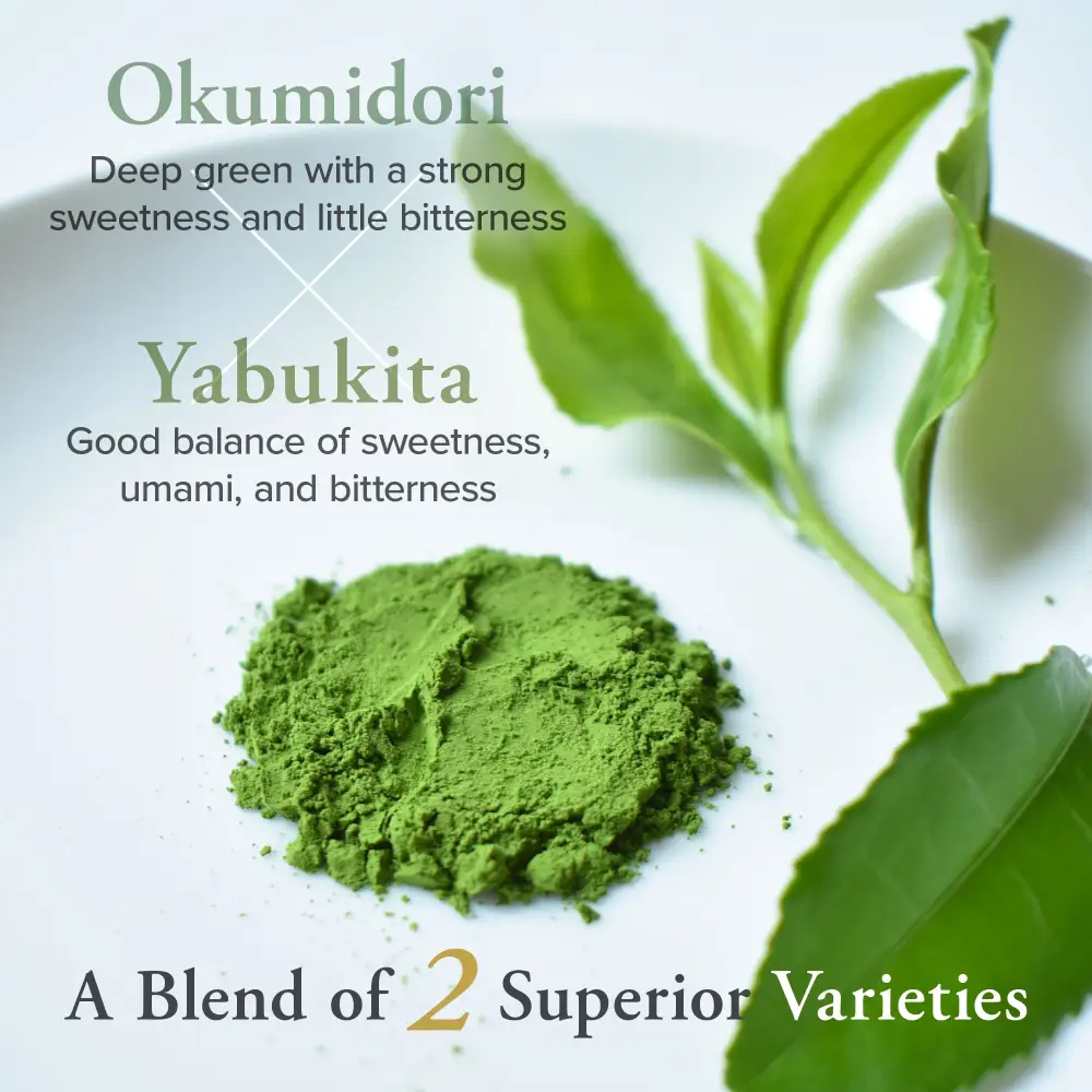 Authentic Japanese Tea Ceremonial Grade Uji Matcha ASAGAO 50g(1.76oz) - Image 6