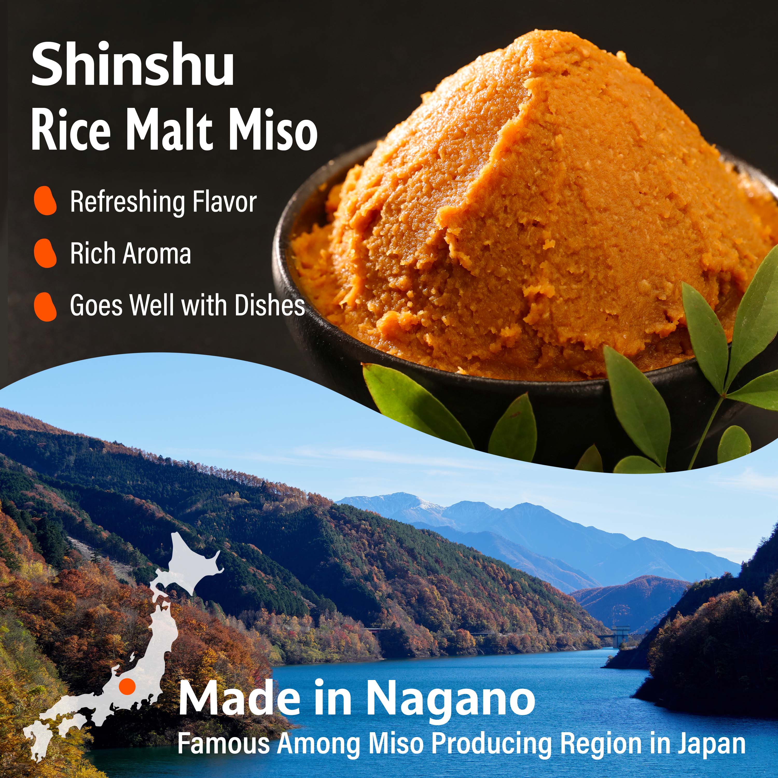 Dry Miso Powder Seasoning 100g(3.52oz) - Image 5