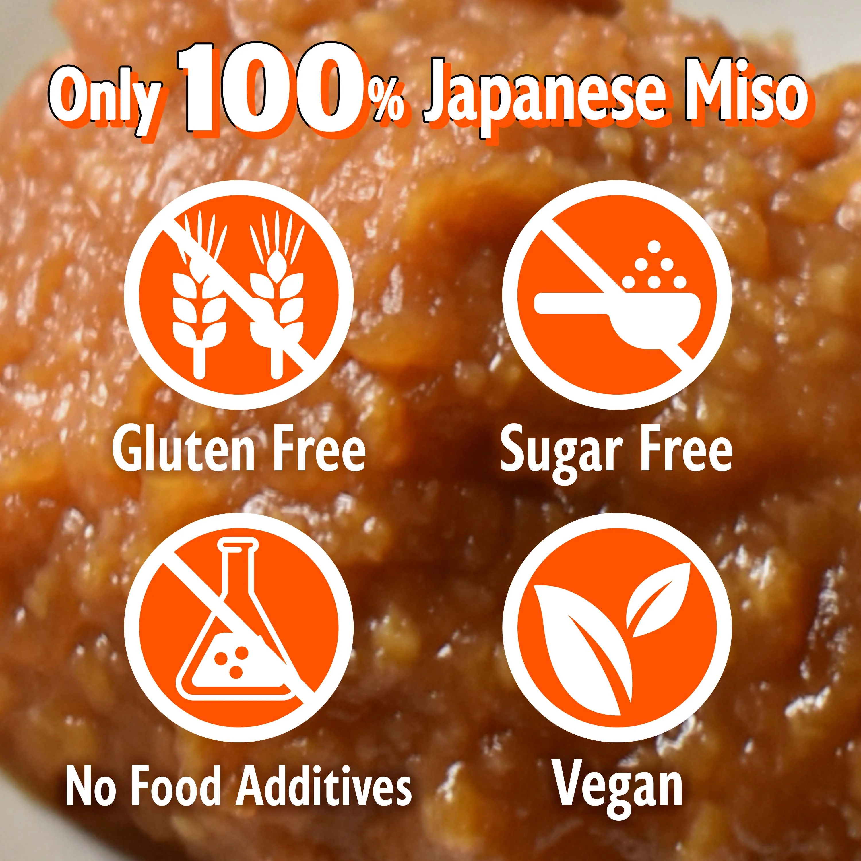Dry Miso Powder Seasoning 100g(3.52oz) - Image 6