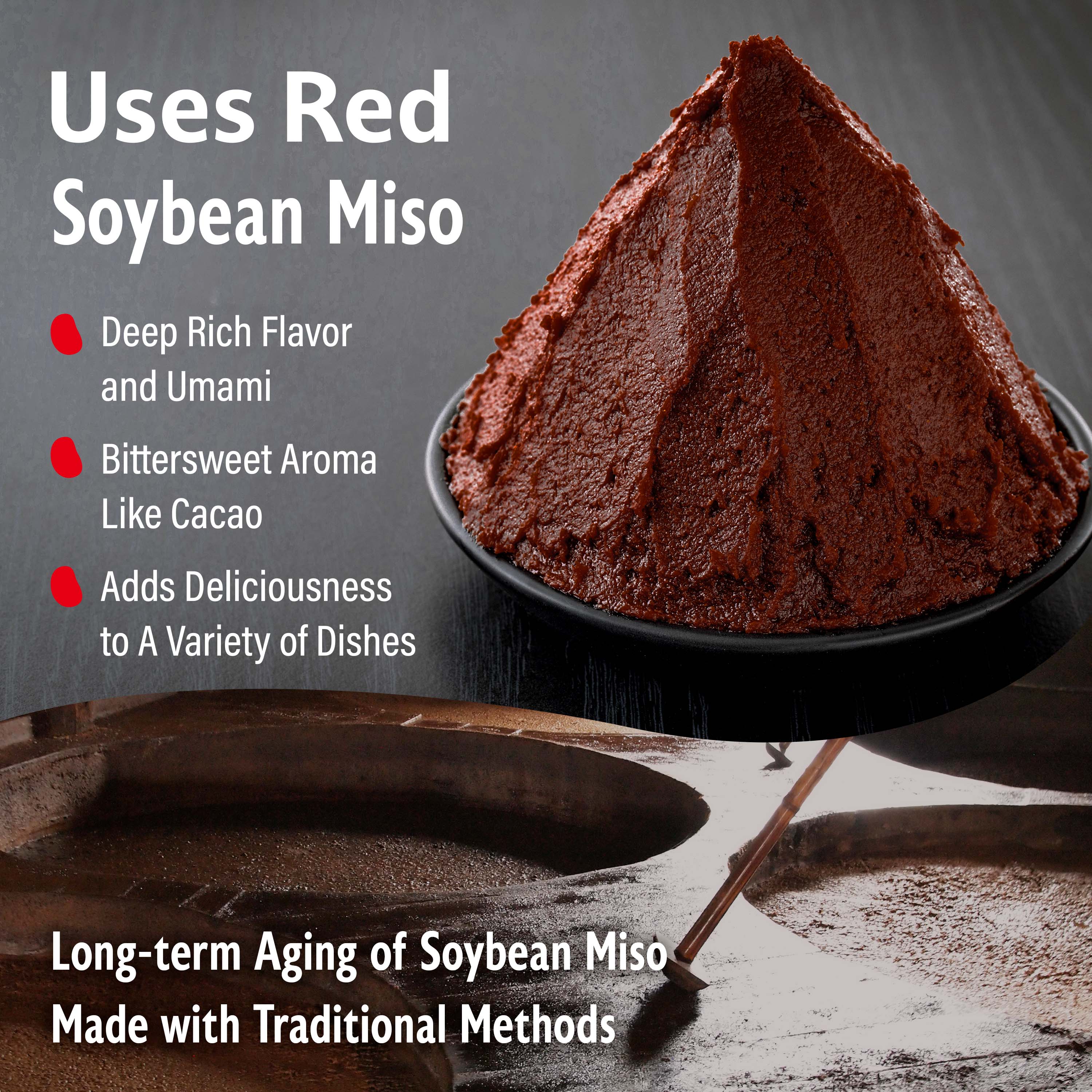 Dry Red Miso Powder Seasoning 90g(3.17oz) - Image 5