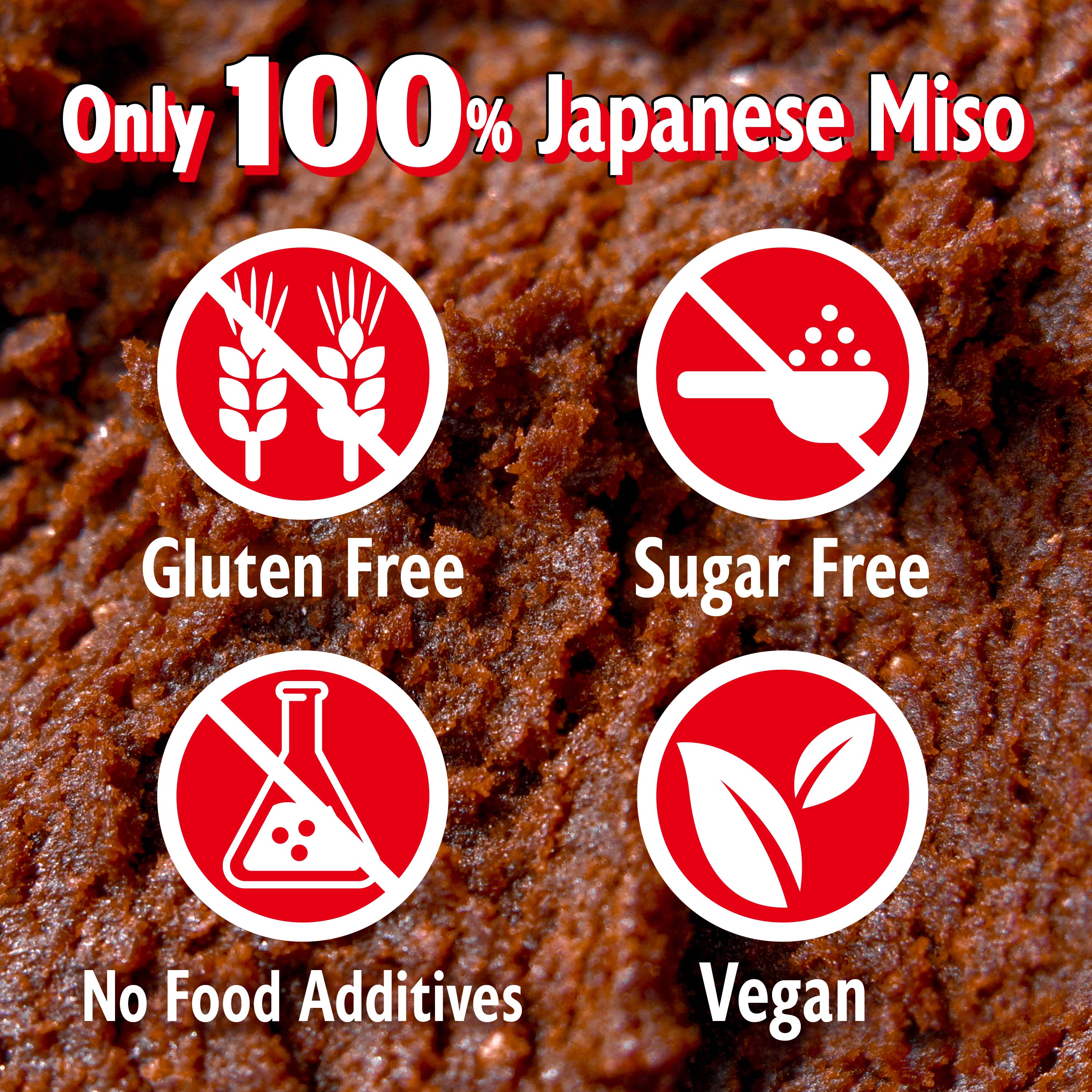 Dry Red Miso Powder Seasoning 90g(3.17oz) - Image 6