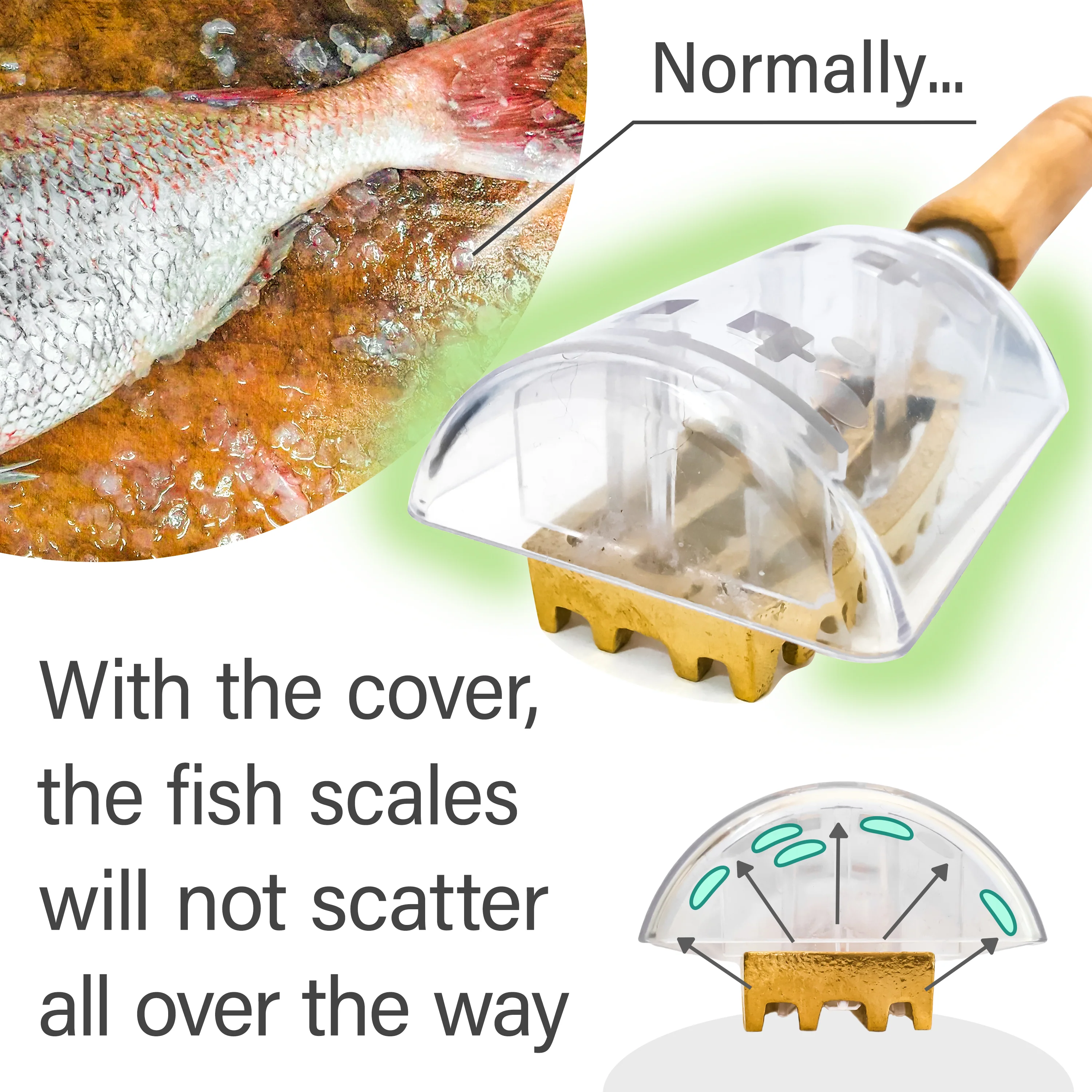 Fish Scale Remover - Image 3
