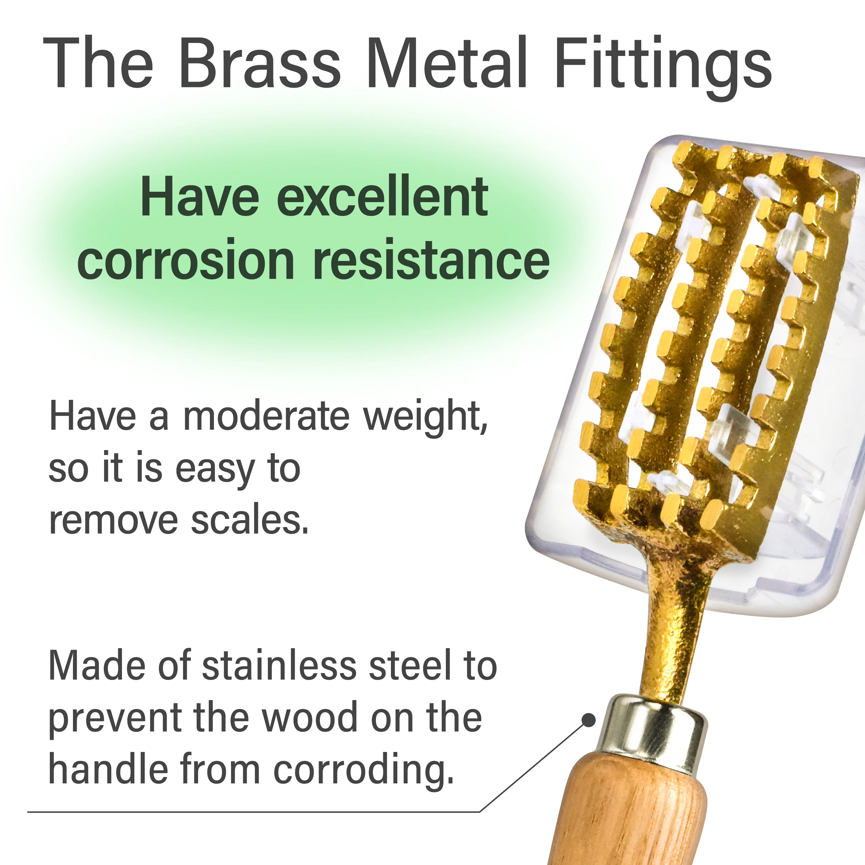 Fish Scale Remover - Image 4
