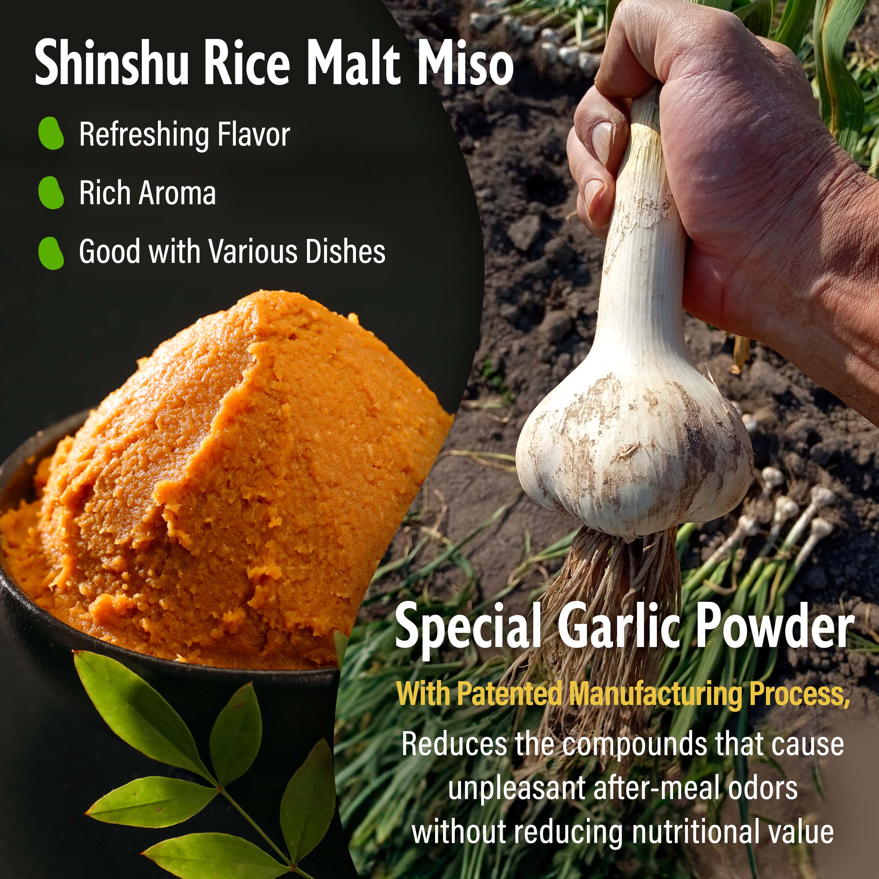 Garlic Miso Powder Seasoning 90g(3.17oz) - Image 5