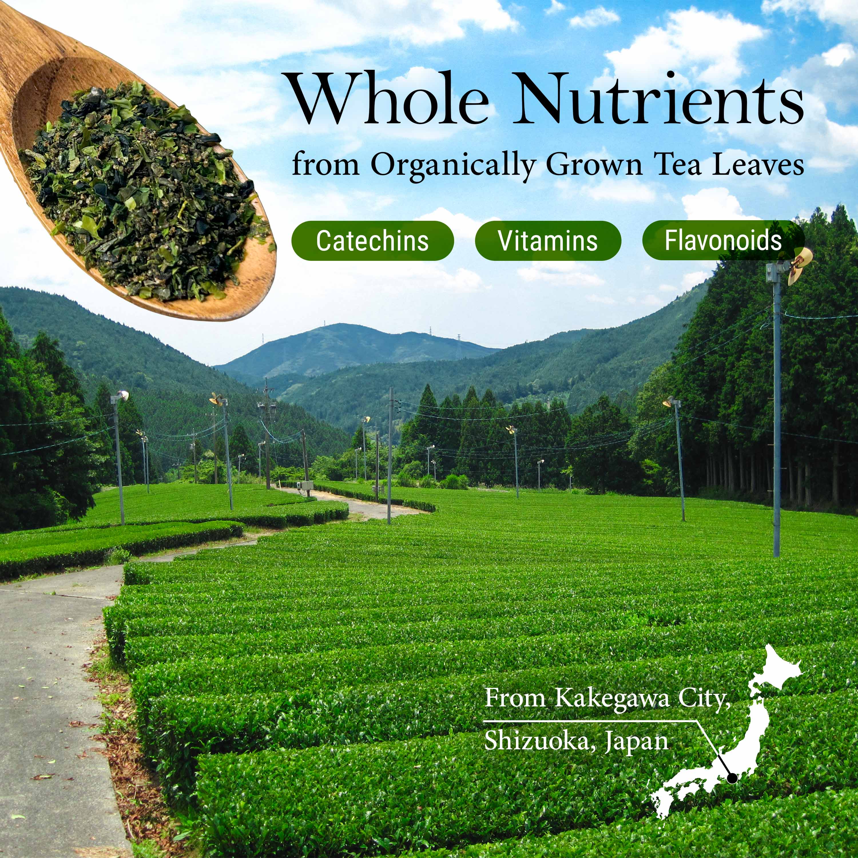 Green Tea Furikake Seasoning 45g(1.5oz) - Image 6