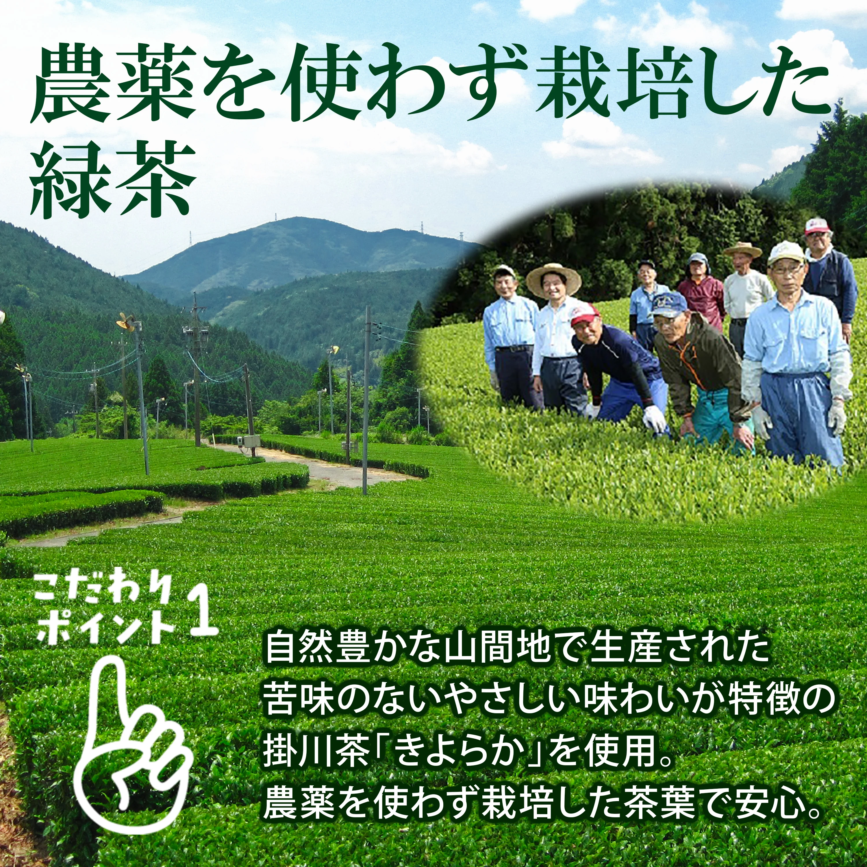 Green Tea Furikake Seasoning 45g(1.5oz) - Image 9