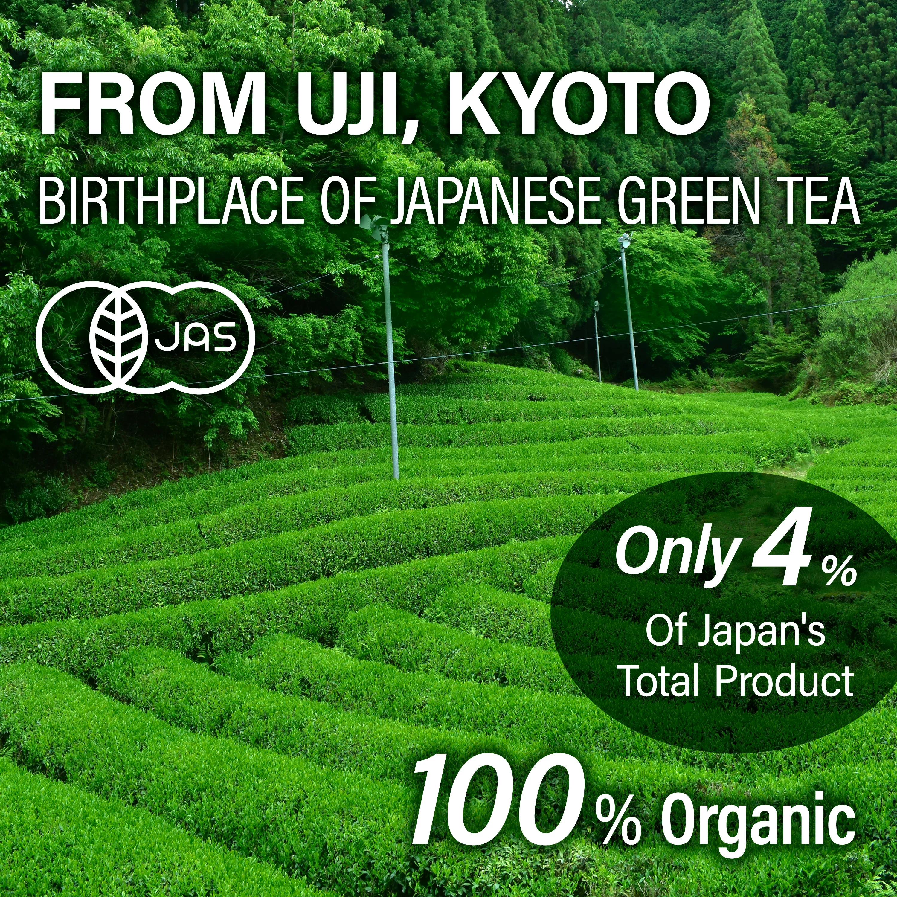 Hojicha Tea - Image 3