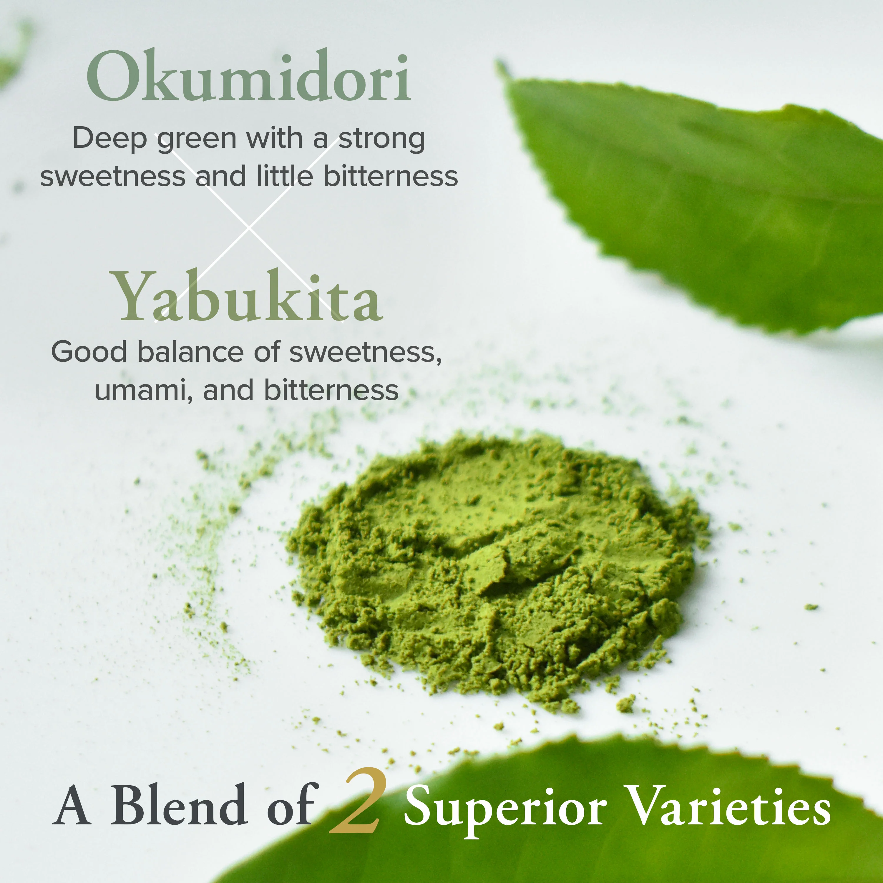 Uji Matcha USUGUMO - Image 6