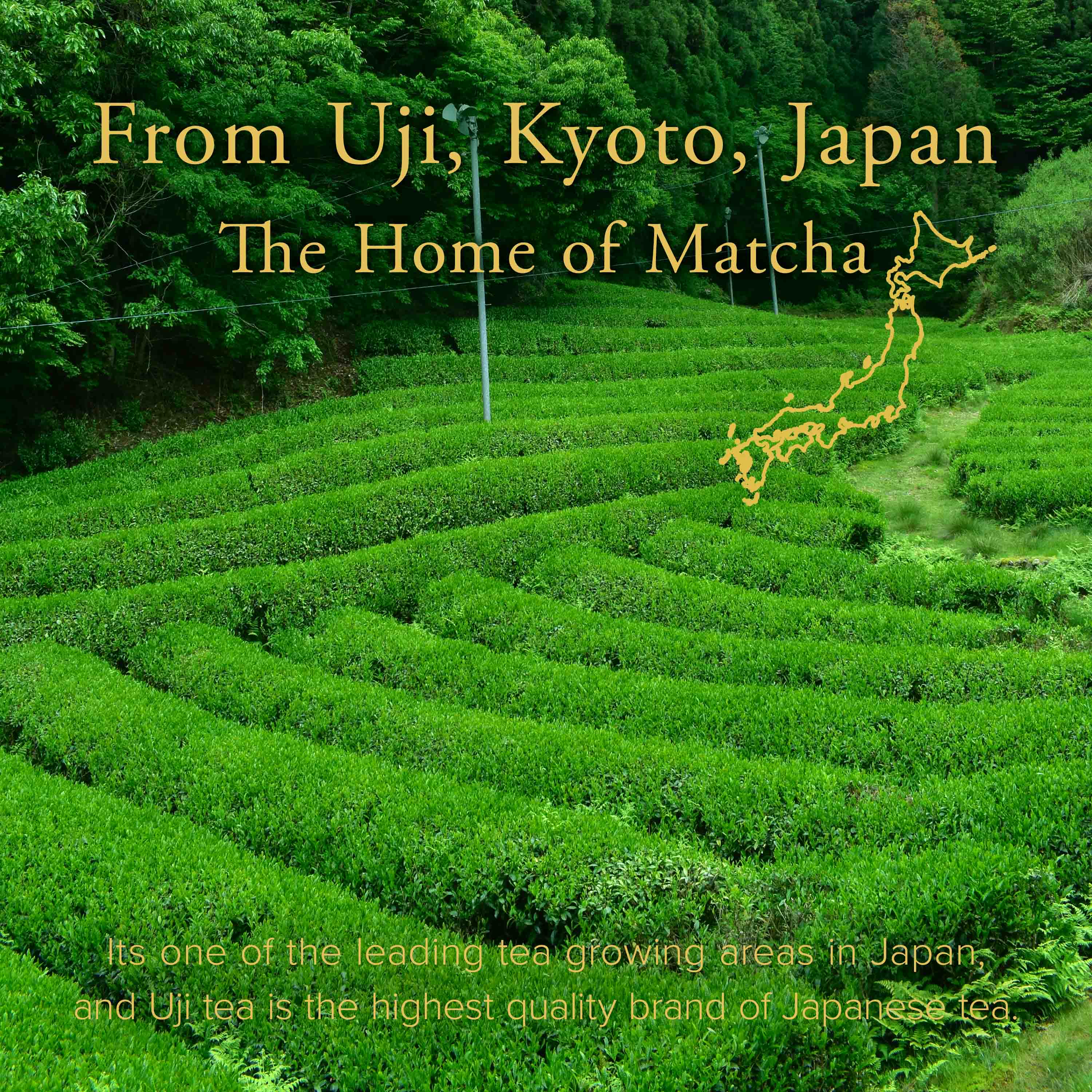 Uji Matcha USUGUMO - Image 5