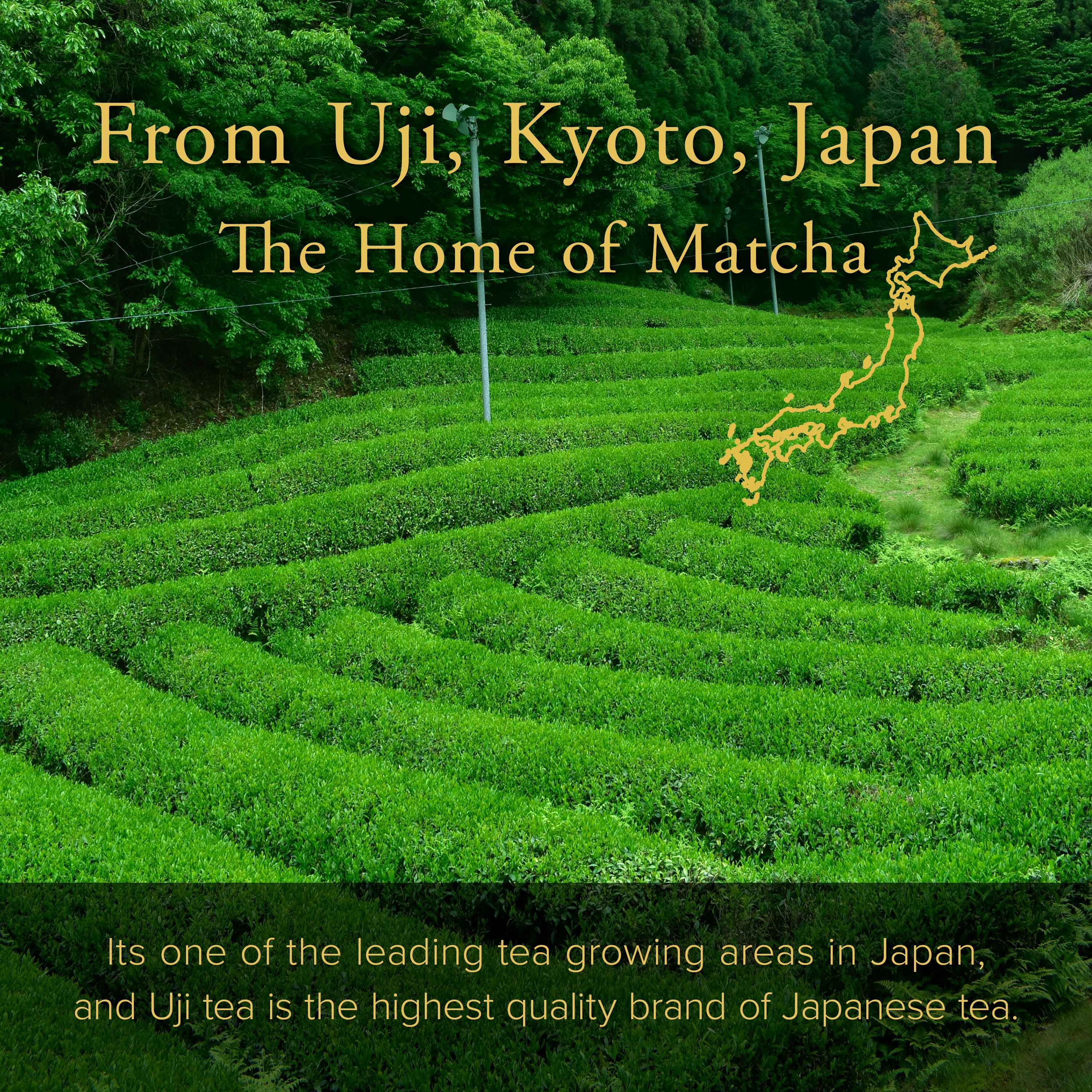 Japanese Uji Matcha - Image 14