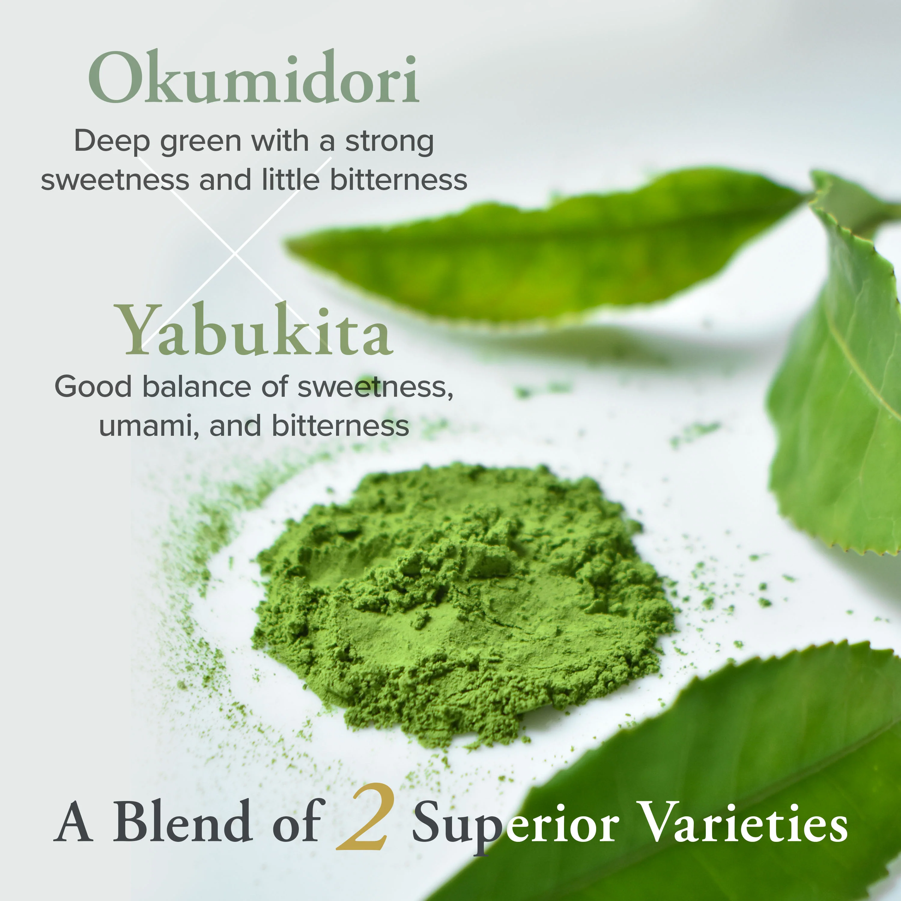 Japanese Uji Matcha - Image 17