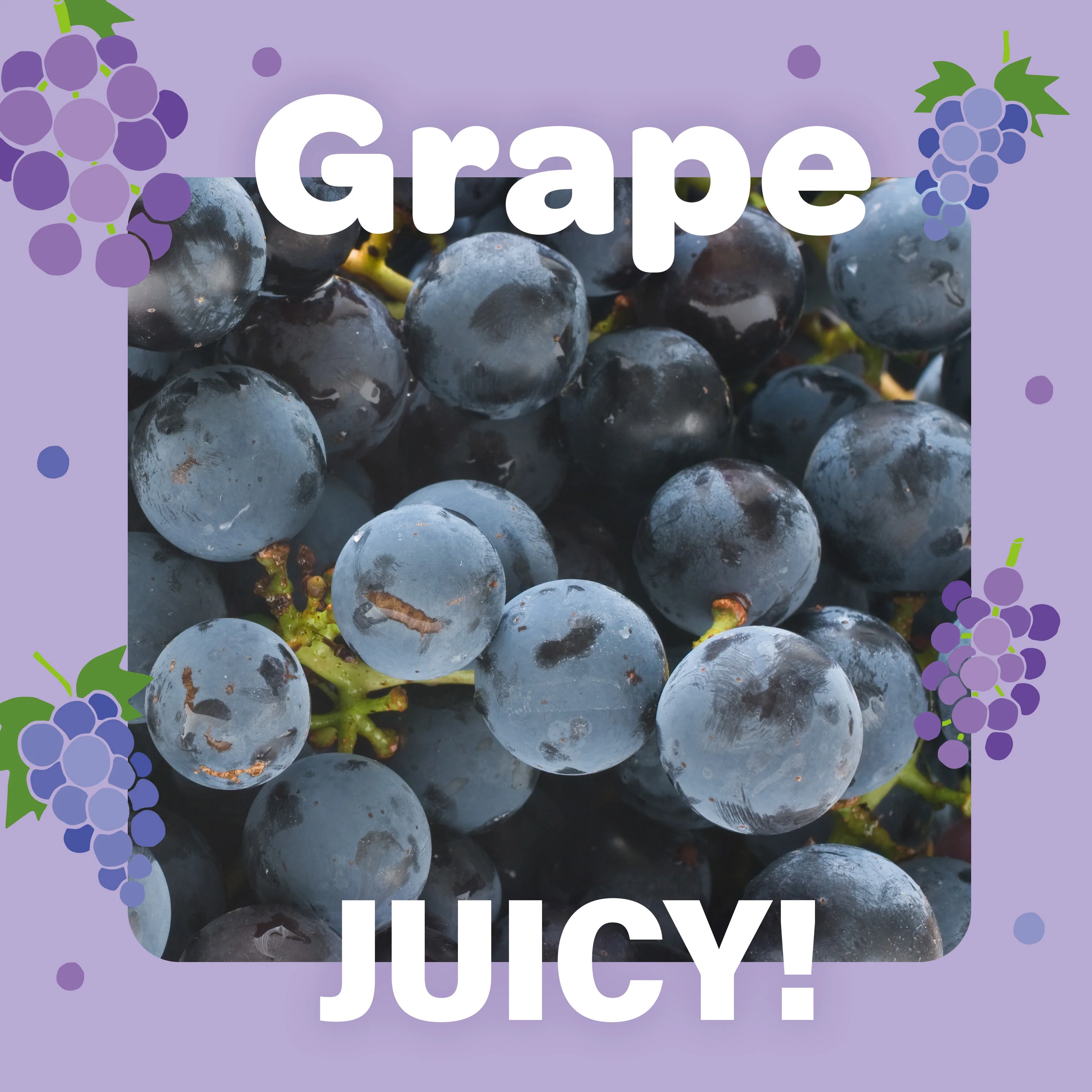 Jelly Fruit Mochi (Juicy Grape) 300g(10.58oz) - Image 4
