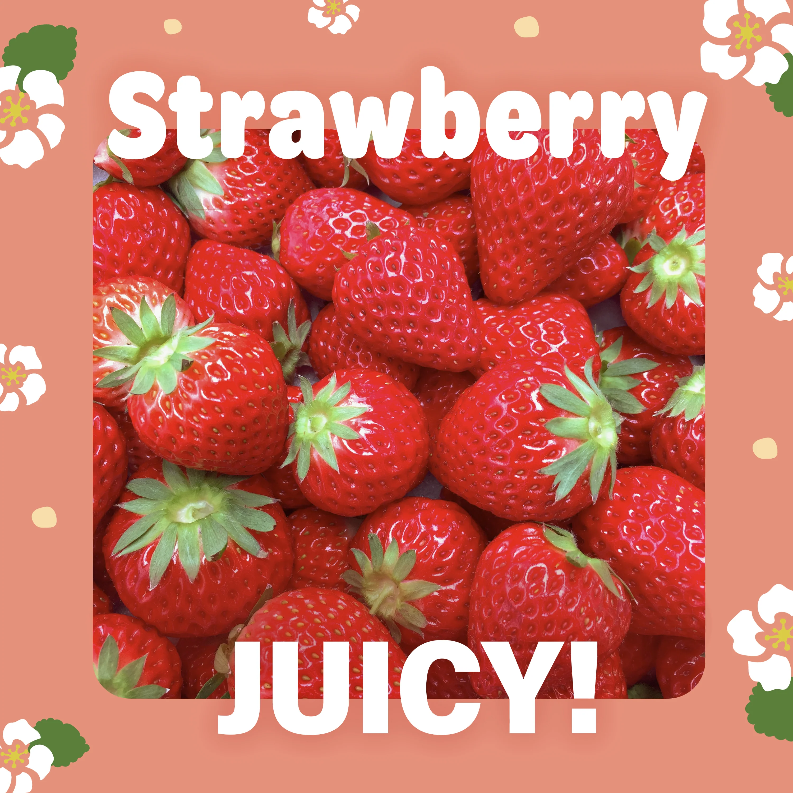 Jelly Fruit Mochi (Juicy Strawberry) 300g(10.58oz) - Image 5