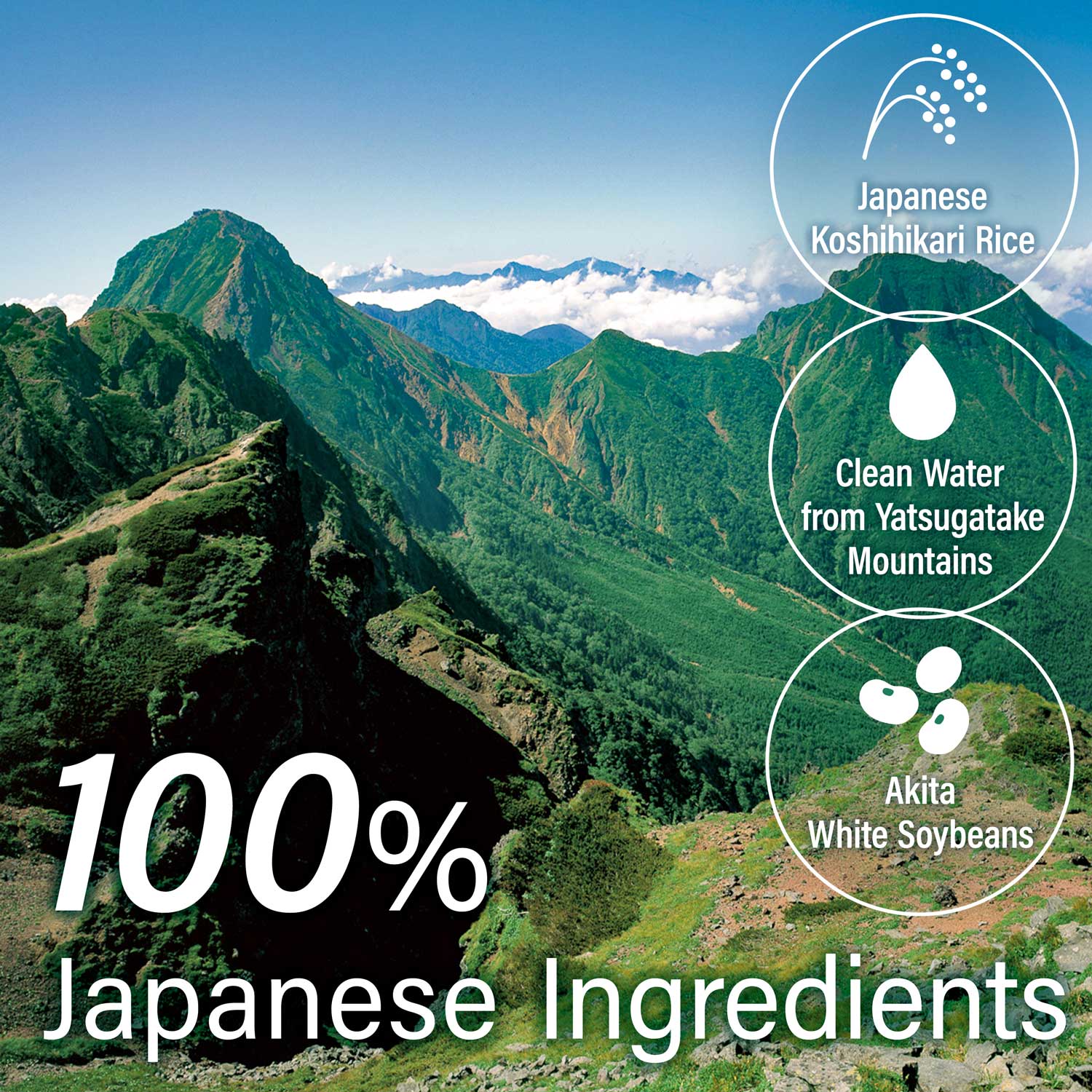 Miso Paste Malted Rice 300g(10.58oz) - Image 7