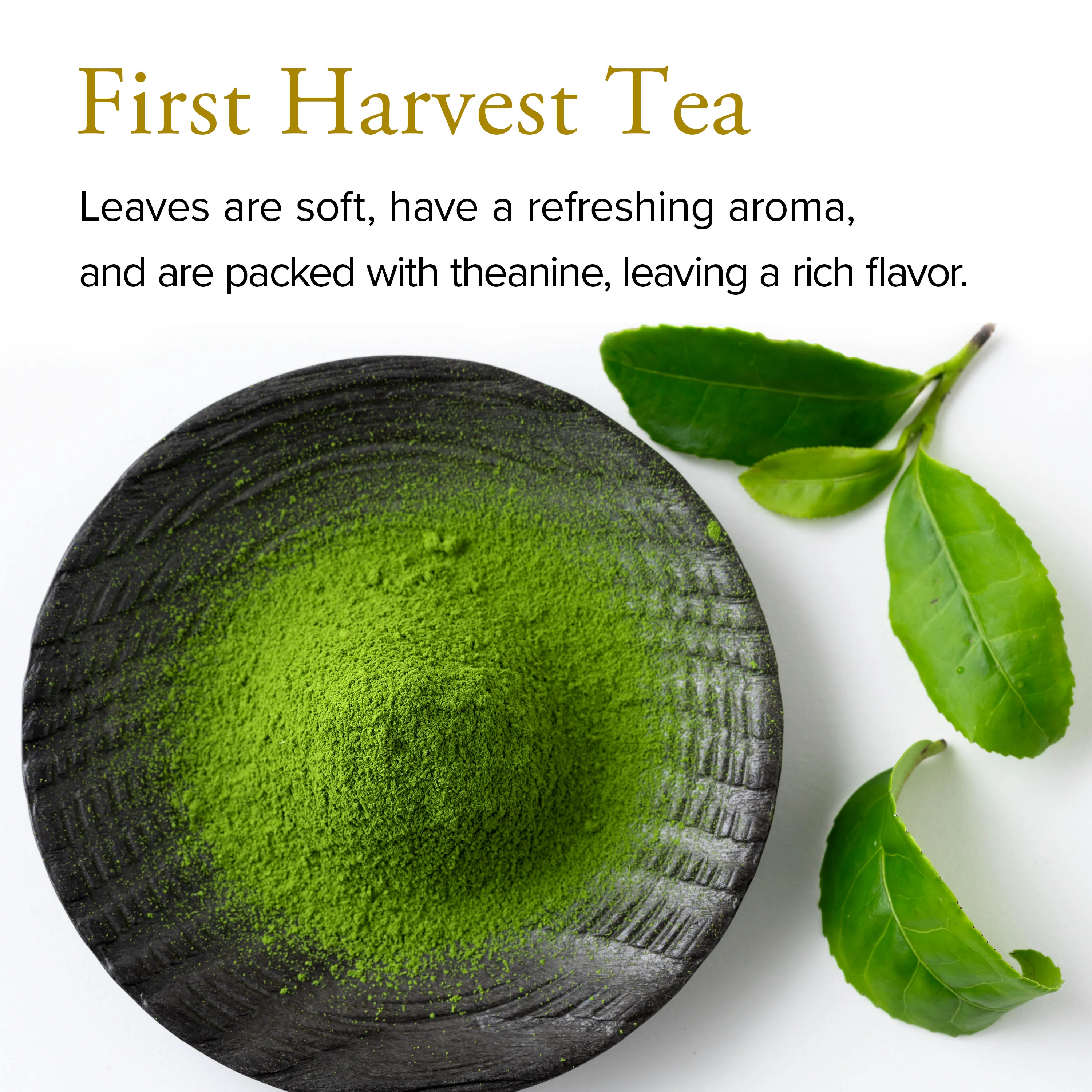 Organic Ceremonial Grade Matcha Mai - Image 5