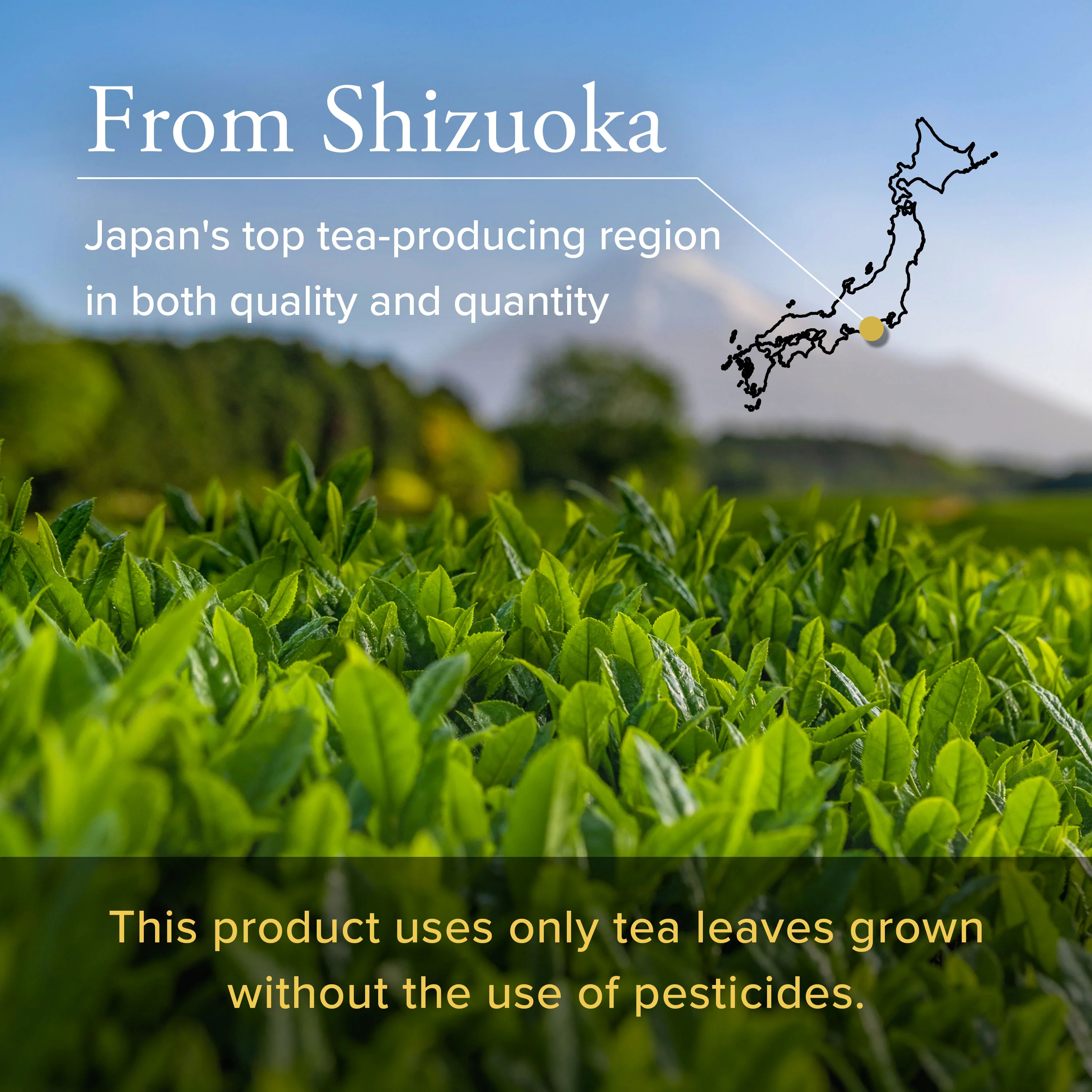 Organic Ceremonial Grade Matcha Mai - Image 7