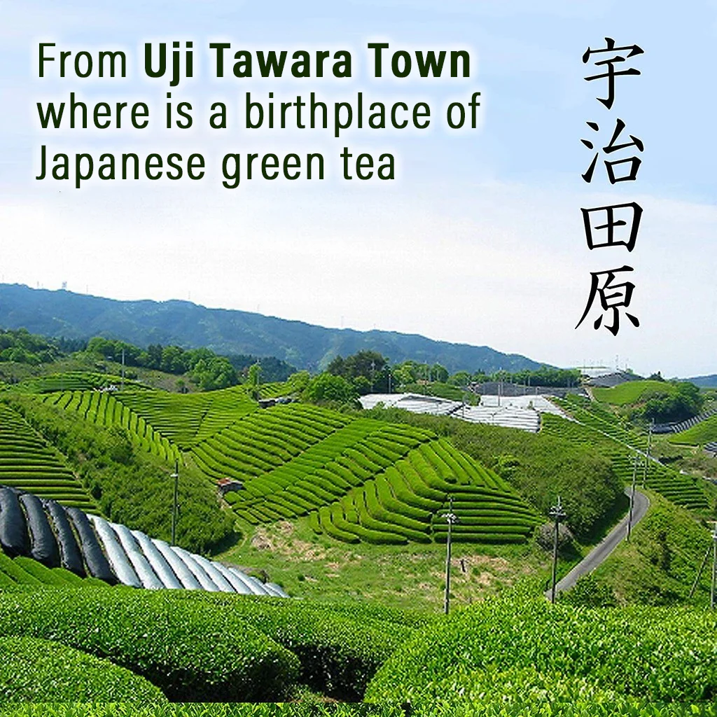 Organic Matcha Green Tea With Sugar 200g - Image 5