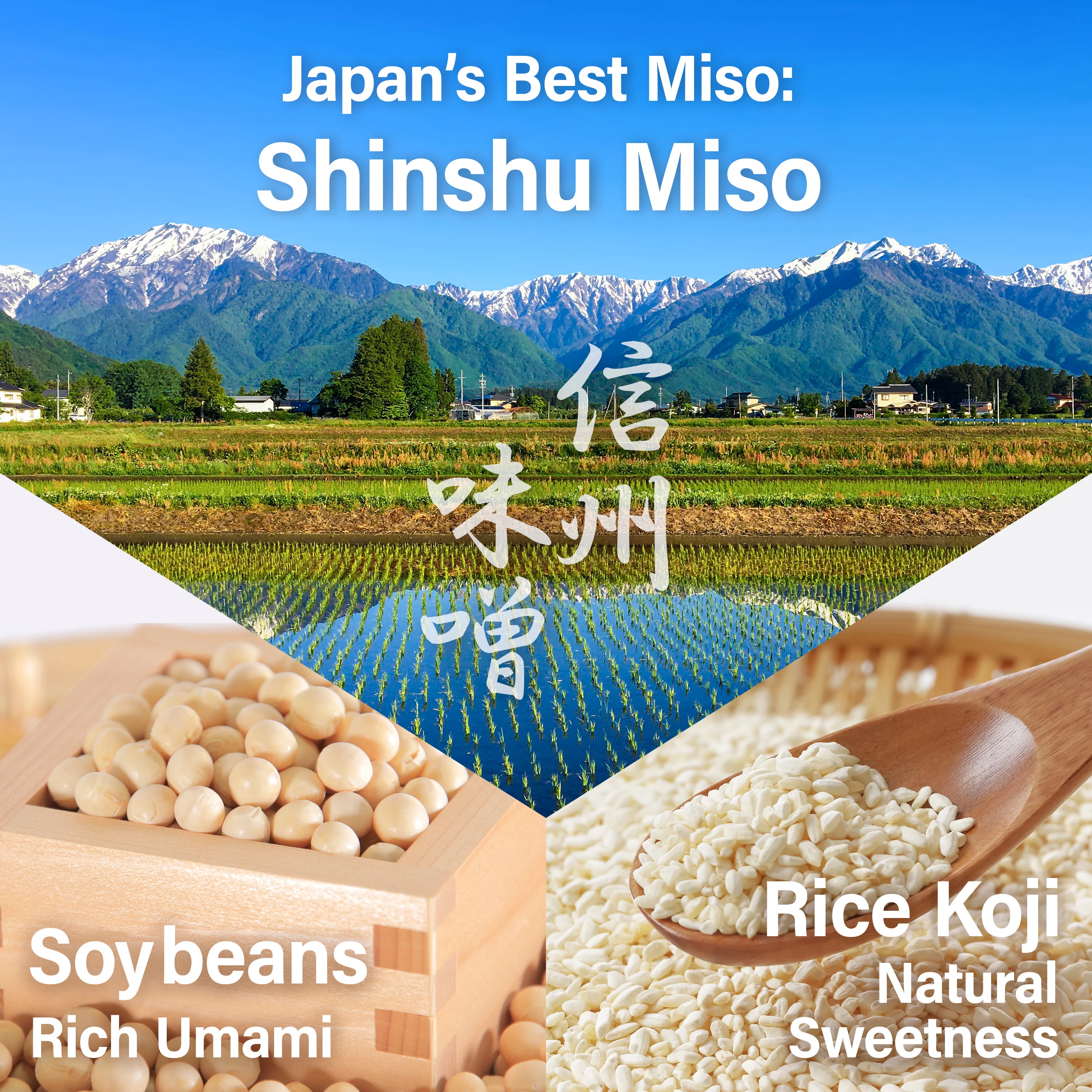 Reduced Sodium Rice Miso,10.5oz(300g) - Image 6