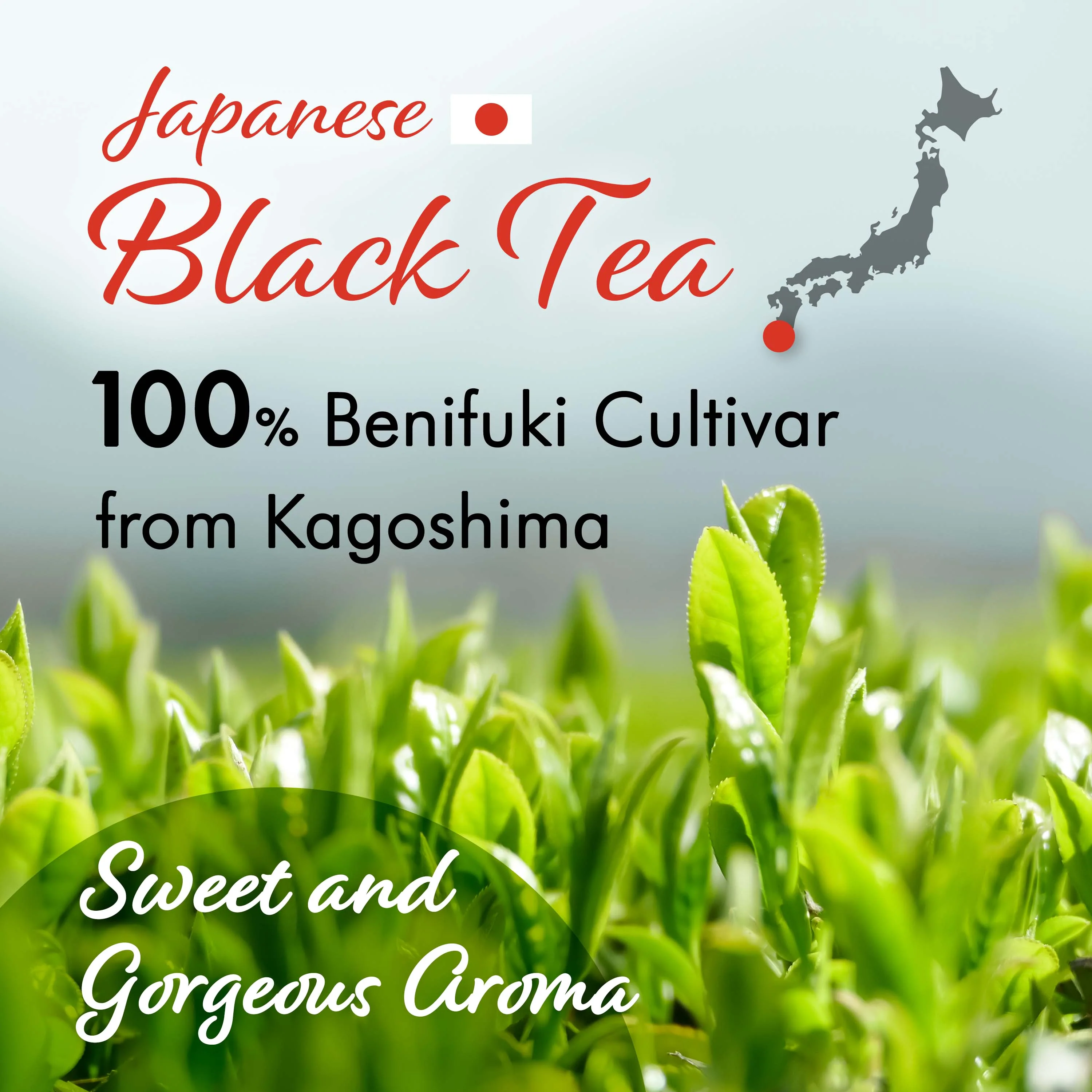 Sakura Black Tea (Loose Leaf) 80g(2.82oz) - Image 5