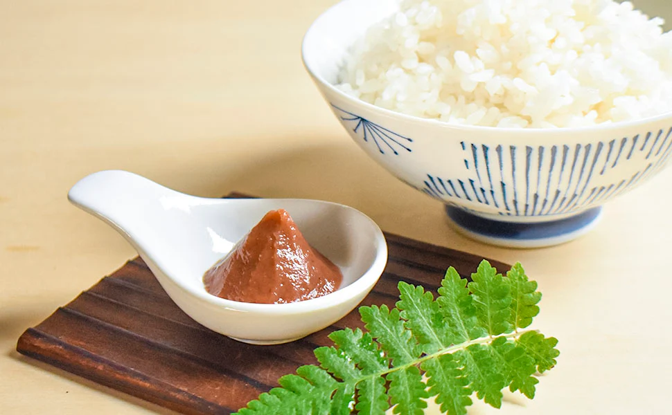 Umeboshi 180g(6.35oz) - Image 8