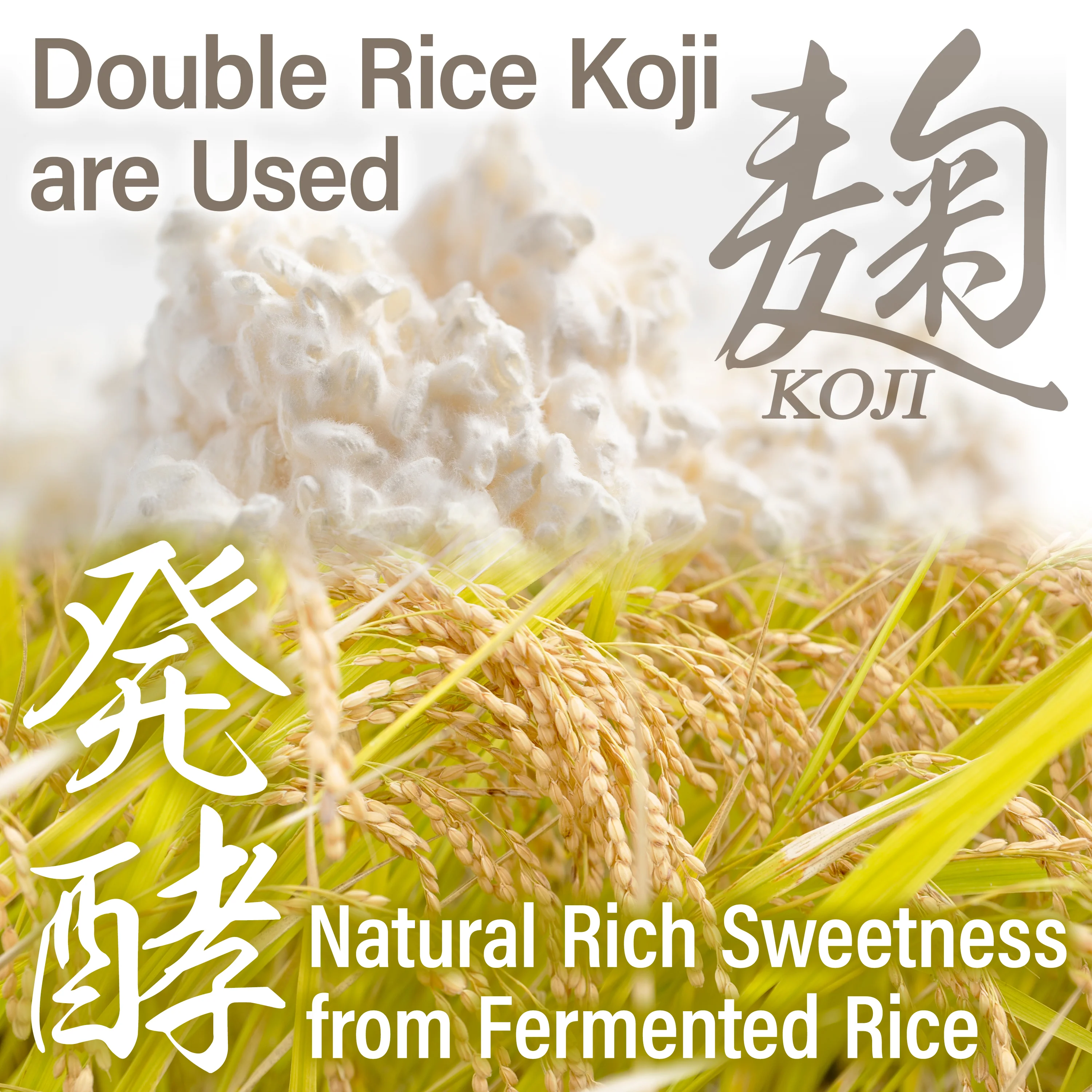 White Miso Paste with Malted Rice 350g(12.35oz) - Image 5